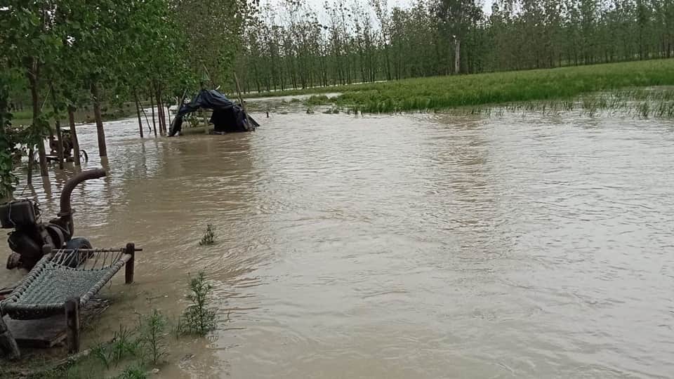 Chance of heavy rain in western UP, Paddy crop destroyed,temperature dropped