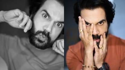 Tripti Dimri Said about her Co star Vicky kaushal and rajkummar rao they executed their roles so effortlessly