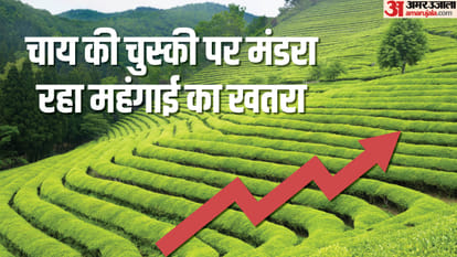 खराब मौसम के कारण चाय का उत्पादन प्रभावित
