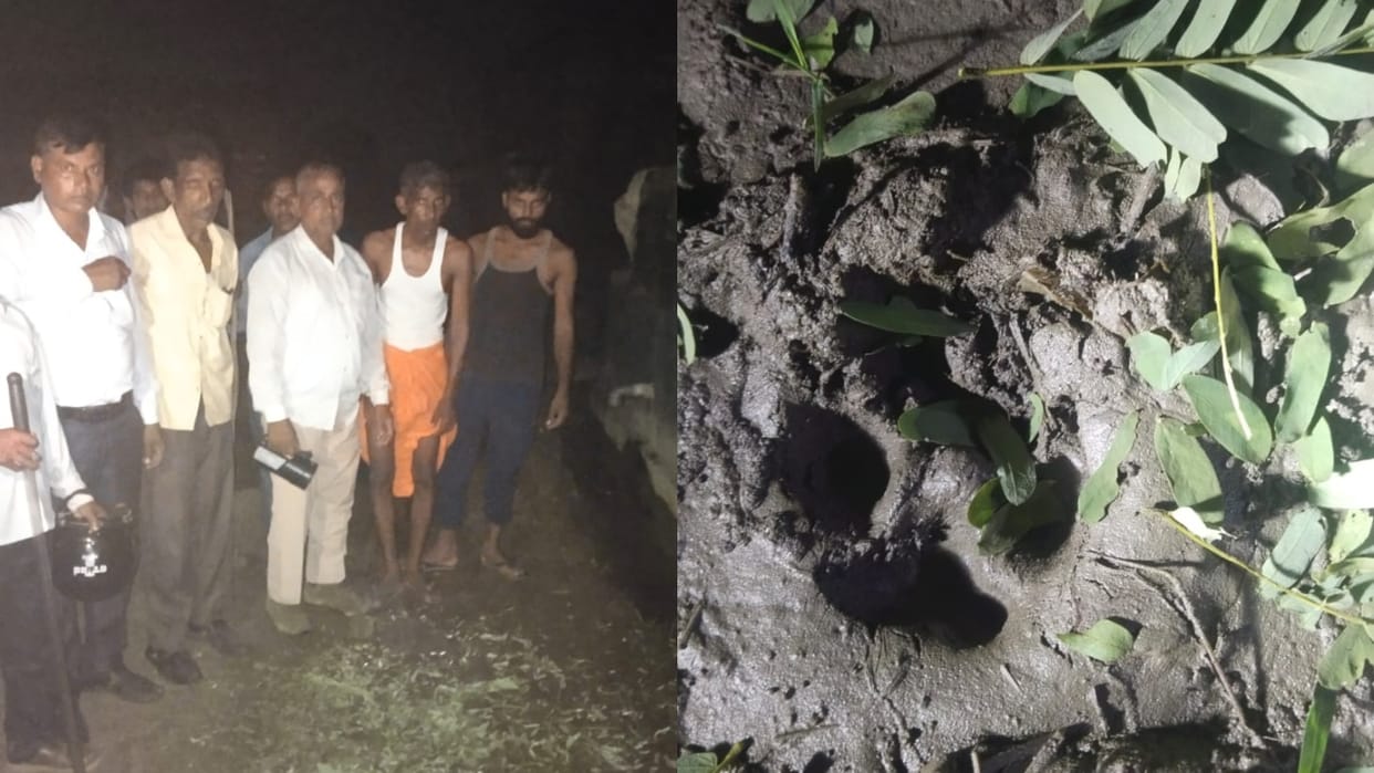 wild animal attacked and injured six people in Bareilly