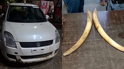 Three smugglers carrying two elephant tusks arrested in Bareilly