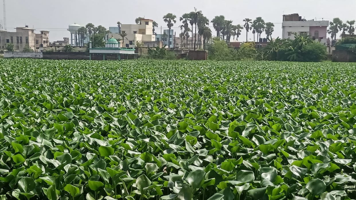 Bihar: fine imposed on Darbhanga Junction, action taken for draining dirty water into Harahi and Digghi ponds