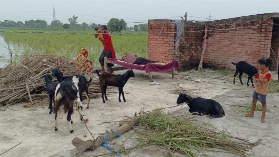 Flood of trouble in UP Six puris in 24 hours in Lakhimpur that too not for everyone see photos