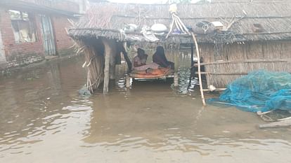 people helpless due fear of tiger amid floods in lakhimpur kheri