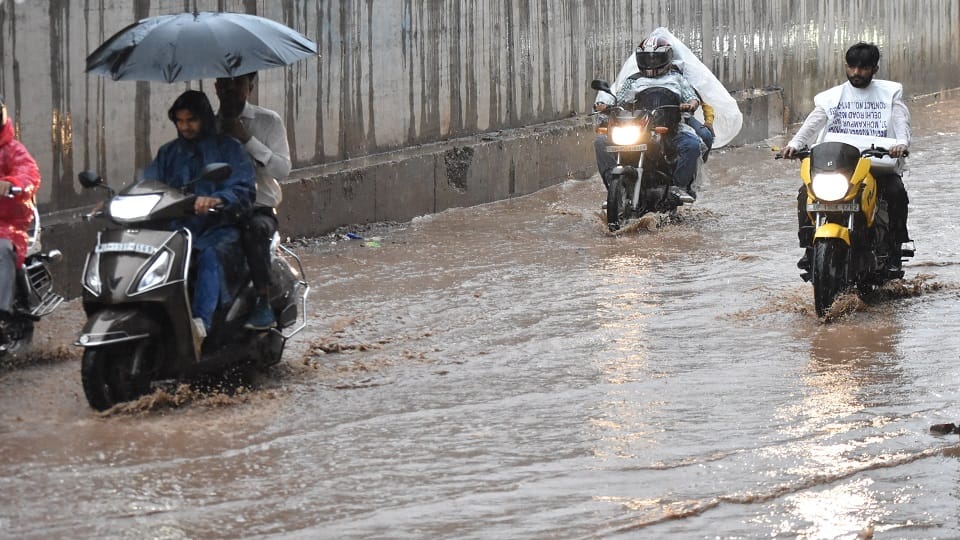 UP News: Weather will be pleasant due to heavy rains, but crops will be damaged, know which are those crops