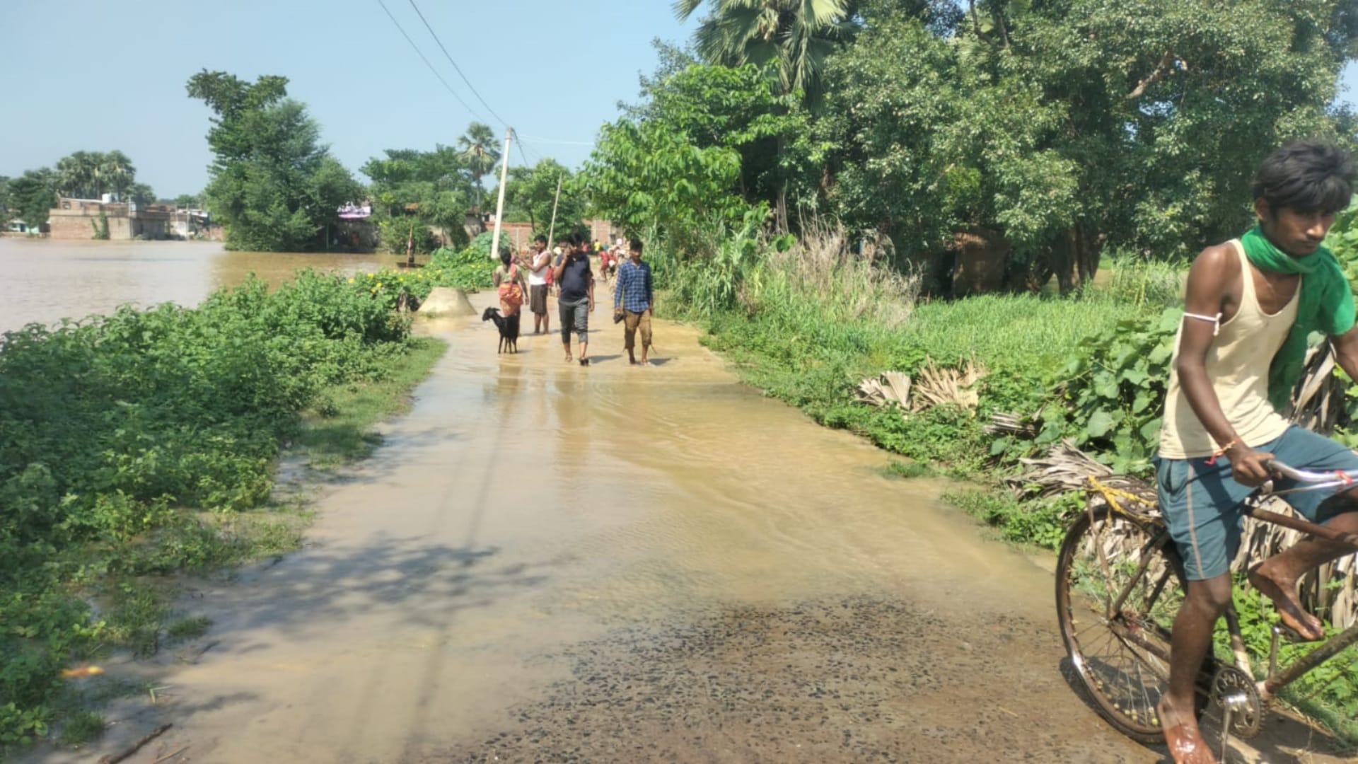 Nalanda: Lokain and Jirayan rivers Water level increased; Dozens of villages affected by flood crops destroyed