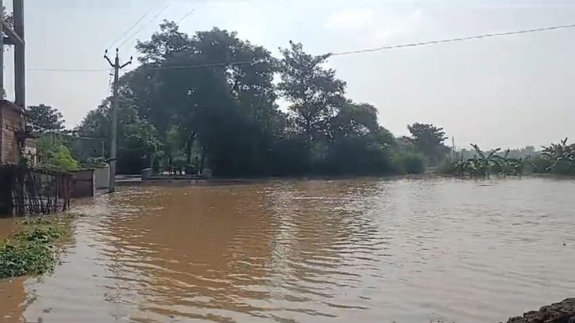 Nalanda: Lokain and Jirayan rivers Water level increased; Dozens of villages affected by flood crops destroyed