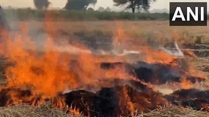 Stubble burning cases increased in Punjab