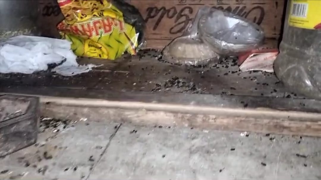 Bhopal news: Food was being prepared in a restaurant amidst heavy dirt, the food department team suspended the