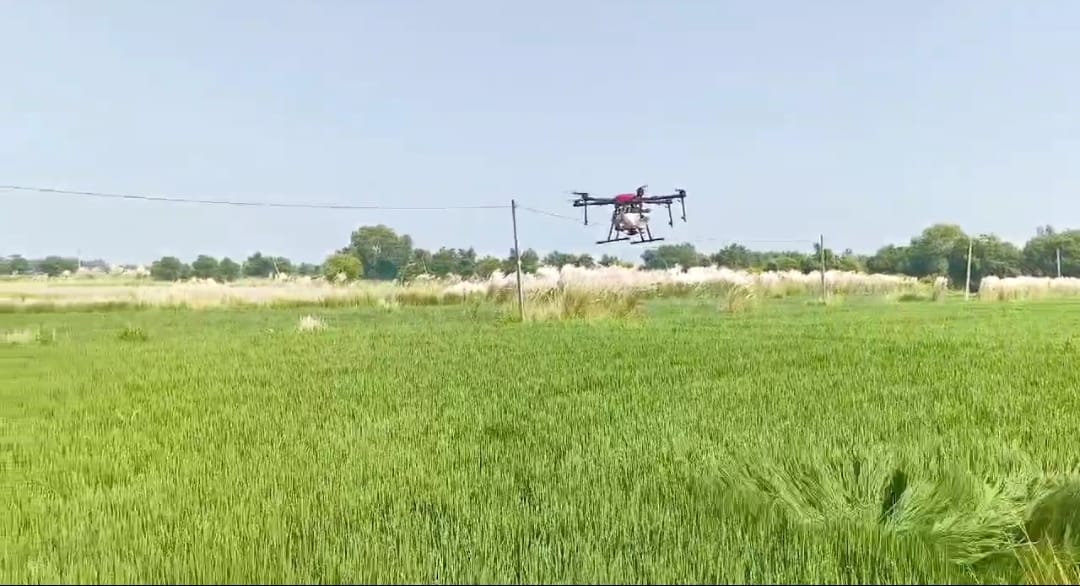 spraying was done in the fields with the help of drones in the former CM's village In Aurangabad