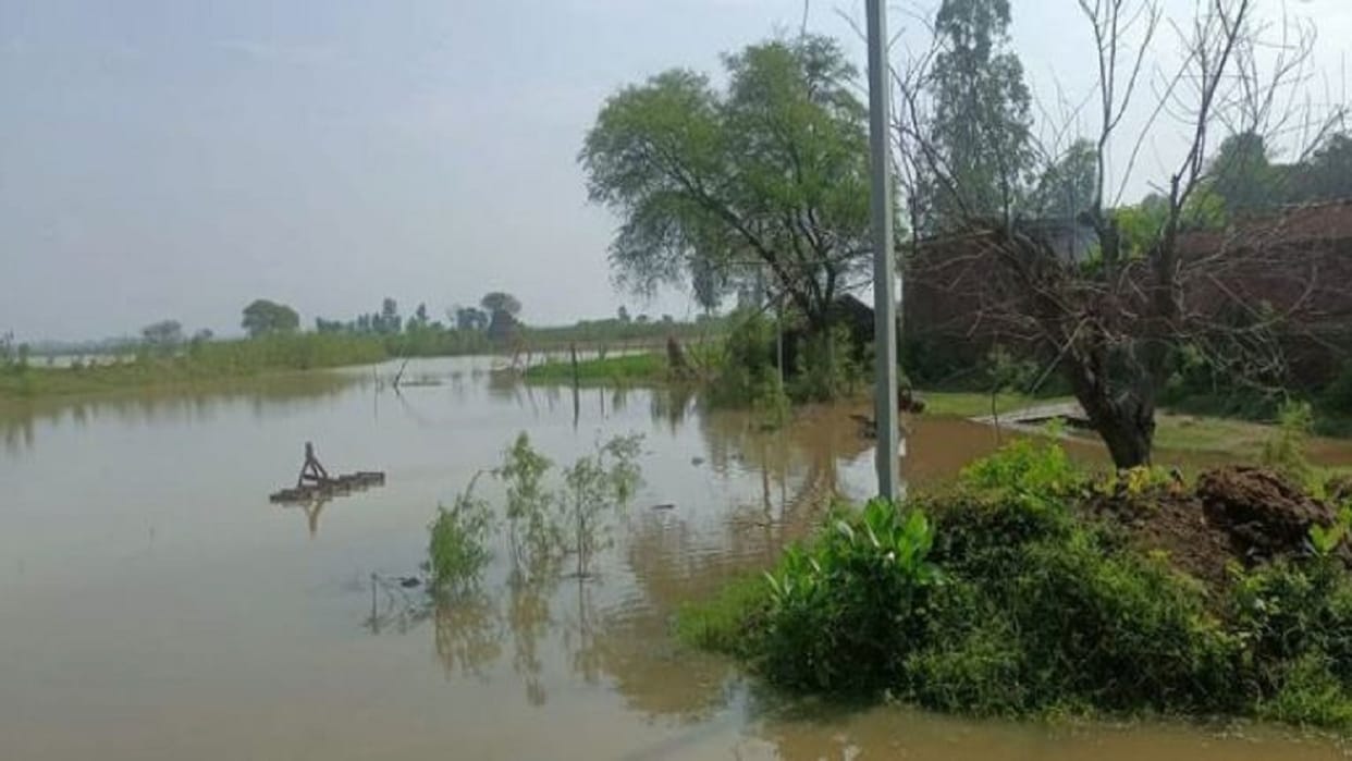 weather news in hindi bihar many districts facing flood himachal pradesh humidity on rise