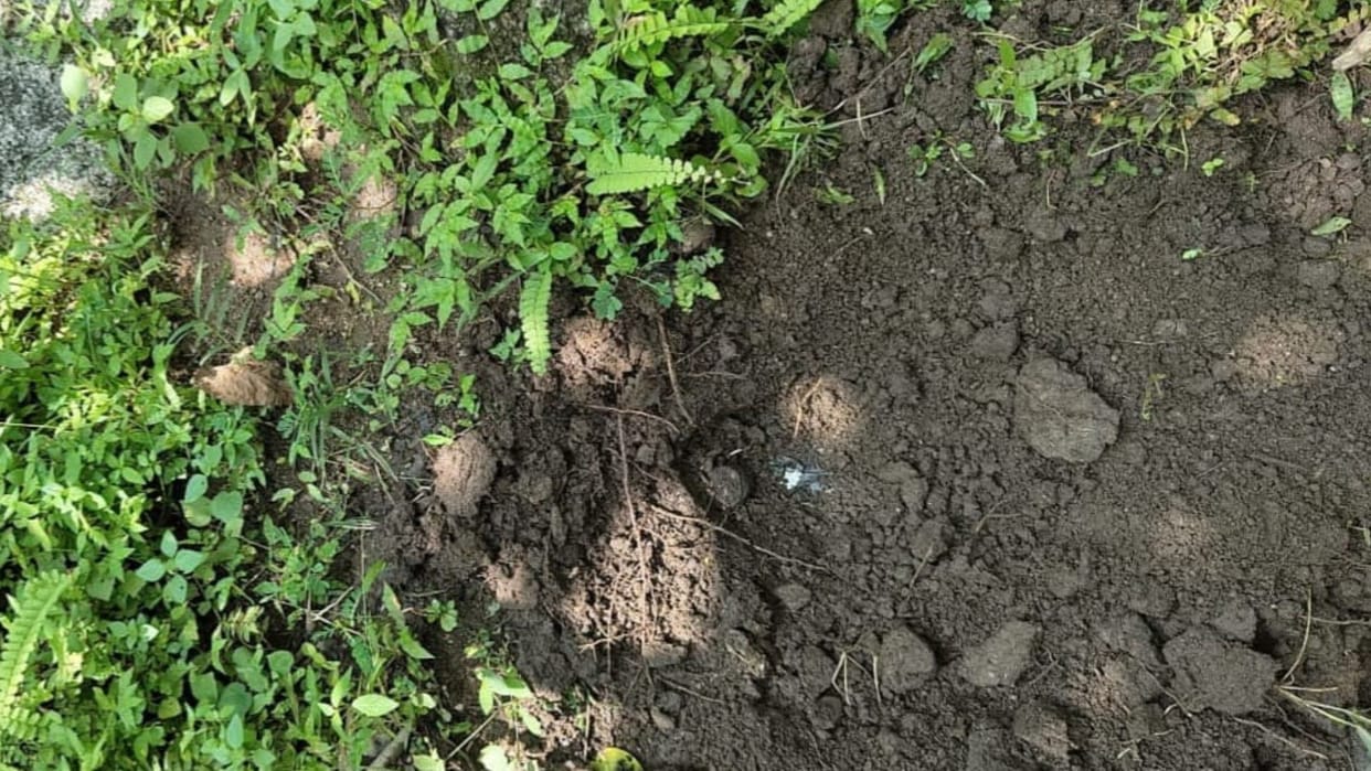 Six pressure IEDs recovered from Pachrukhiya forest in Aurangabad