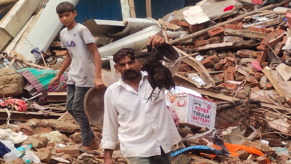 Meerut: Shocking... Ten people died after being buried under debris in Zakir Colony, but rooster came out aliv
