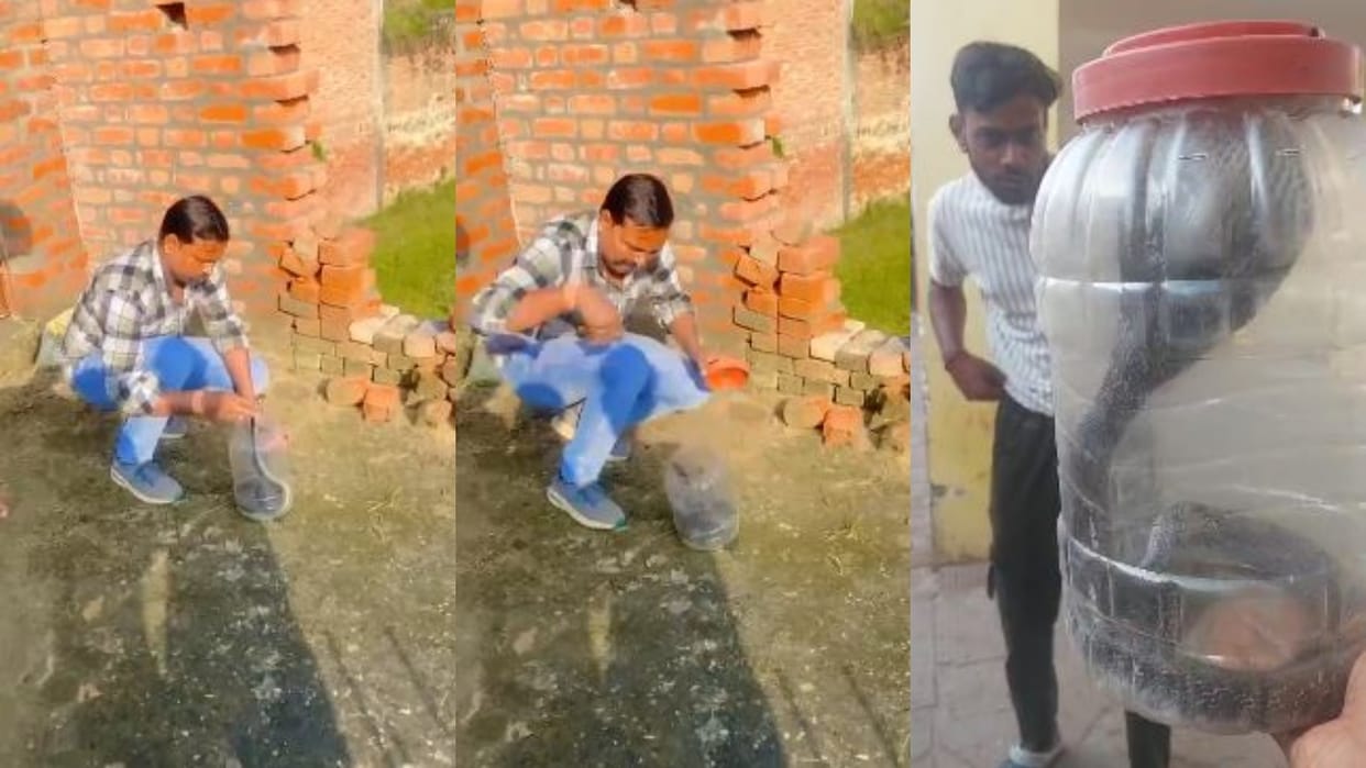 snake bit the young man during the rescue in budaun