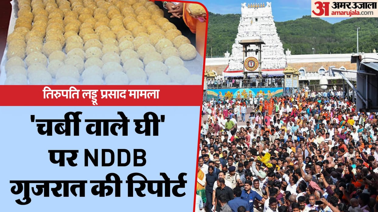 Tirupati laddus case VHP reacts YS Sharmila demands CBI probe news in hindi