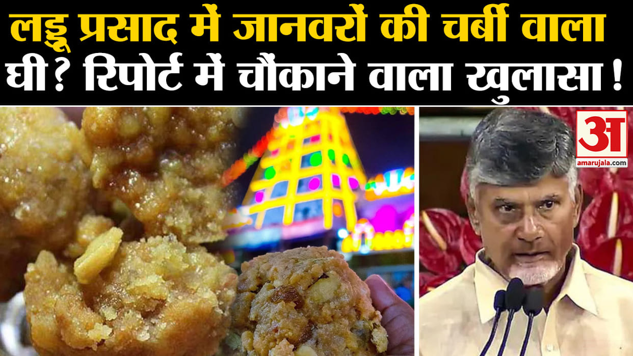 Controversial Prasadam Laddus of Sri Venkateswara Temple are made using 10 ingredients Know all updates
