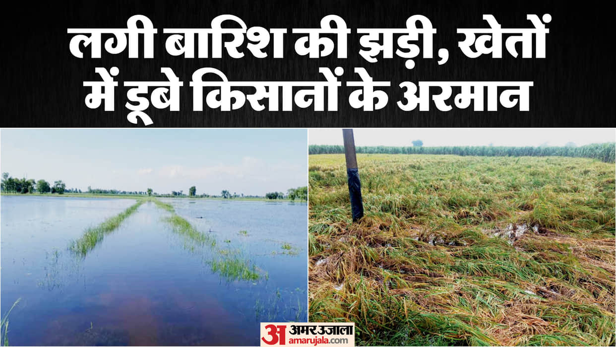 Chance of heavy rain in western UP, Paddy crop destroyed,temperature dropped