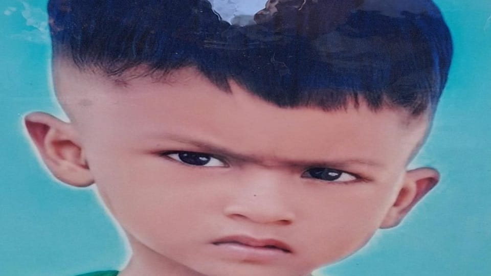 UP News: dogs took away a four-year-old child, scratched and killed him