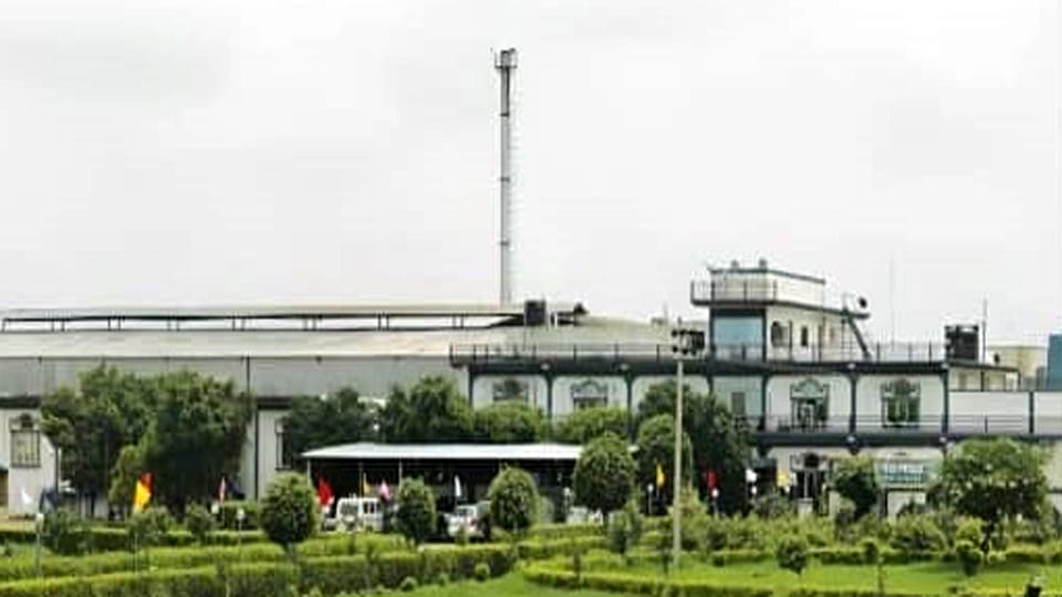 Meat export increased 6 times due to lock and hardware