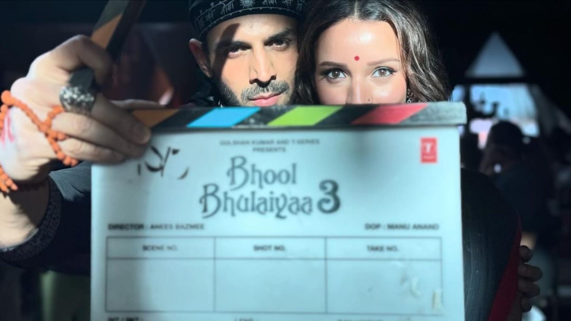 Actress Tripti Dimri Upcoming Movies in 2024 After Bad Newz Dhadak 2 Bhool Bhulaiyaa 3