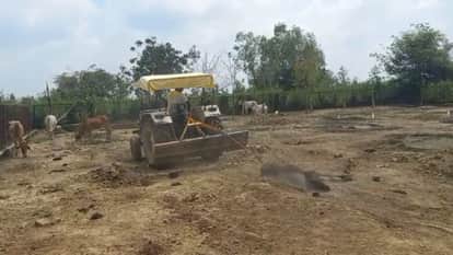 ट्रैक्टर से बांधकर मृत पशु को घसीटा
