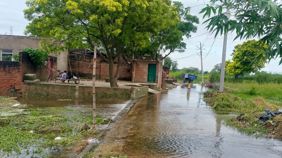 Devastation caused by rain in Mainpuri: River flowing over road crops drowned