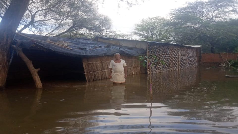 Devastation caused by rain in Mainpuri: River flowing over road crops drowned