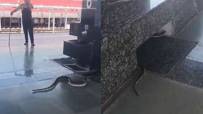 Python appeared in Rishikesh railway station panic spread among passengers