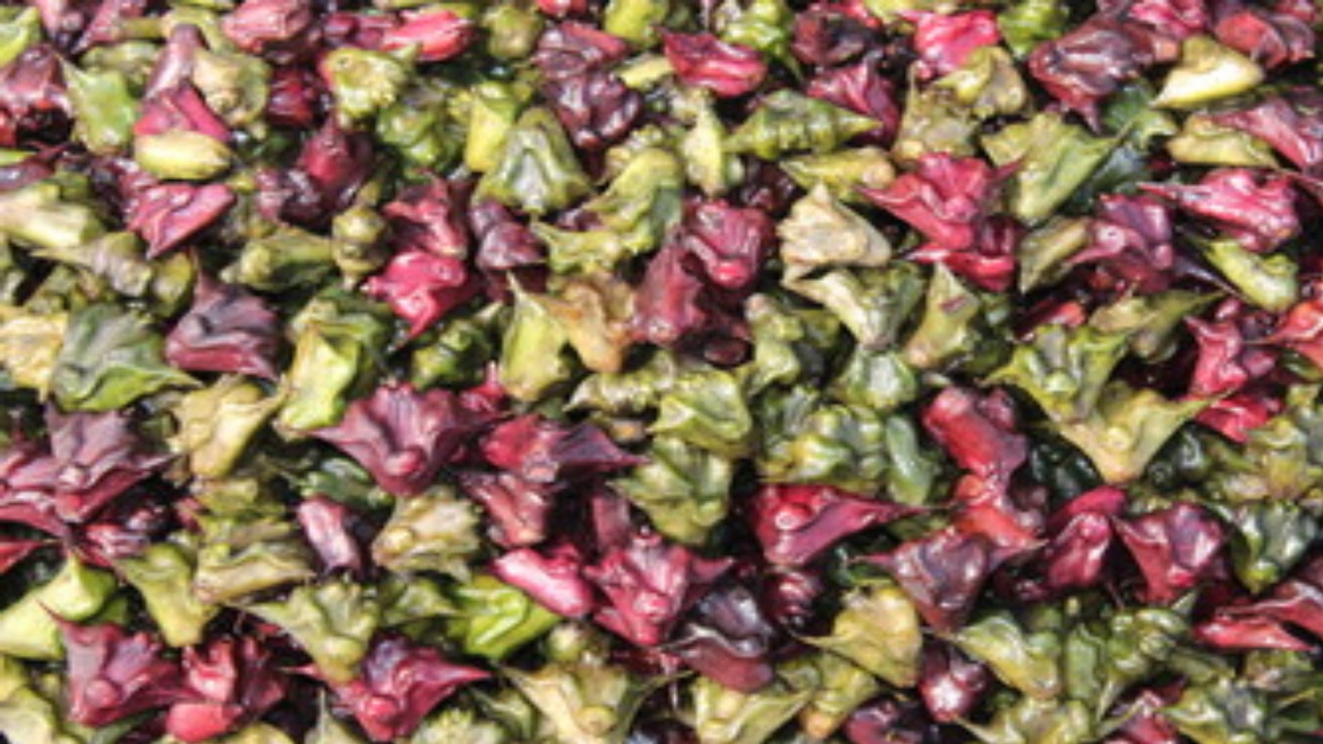 Painkillers That Poison The Water Of Rivers And Ponds Will Be Purified