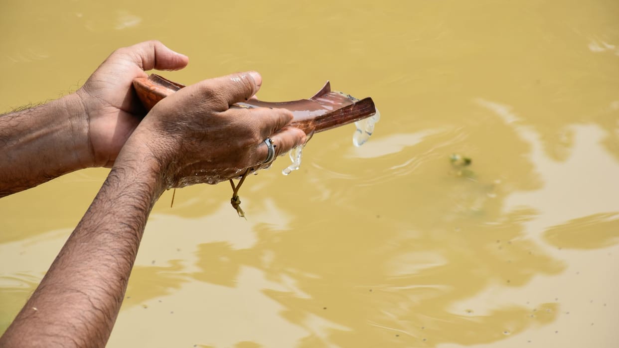 Special Confluence of Ancestral Blessings Significance of Bharani-Magha and Gaj Chhaya Yogas