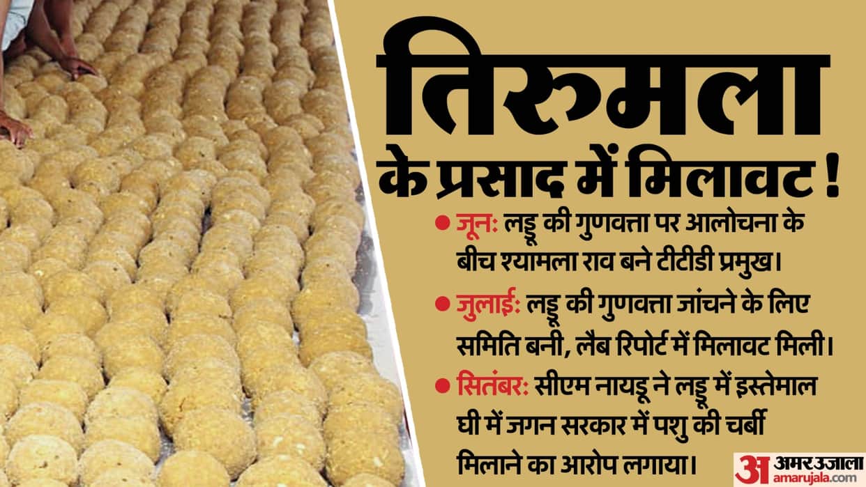 tirumala laddu controversy and lab test report timeline news in hindi