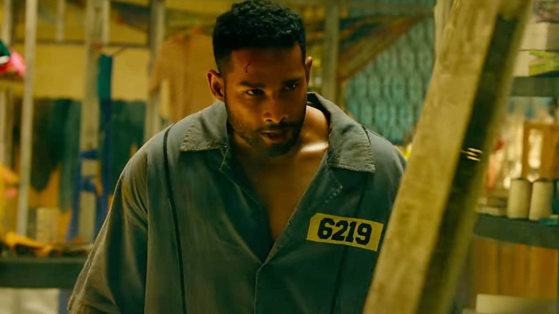 Yudhra Box Office Collection Day 4 siddhant chaturvedi raghav juyal malavika mohanan