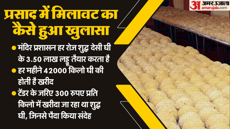 Tirupati Laddus Row Full Story Of Prasad Controversy Lab Report Chandrababu Naidu – Amar Ujala Hindi News Live