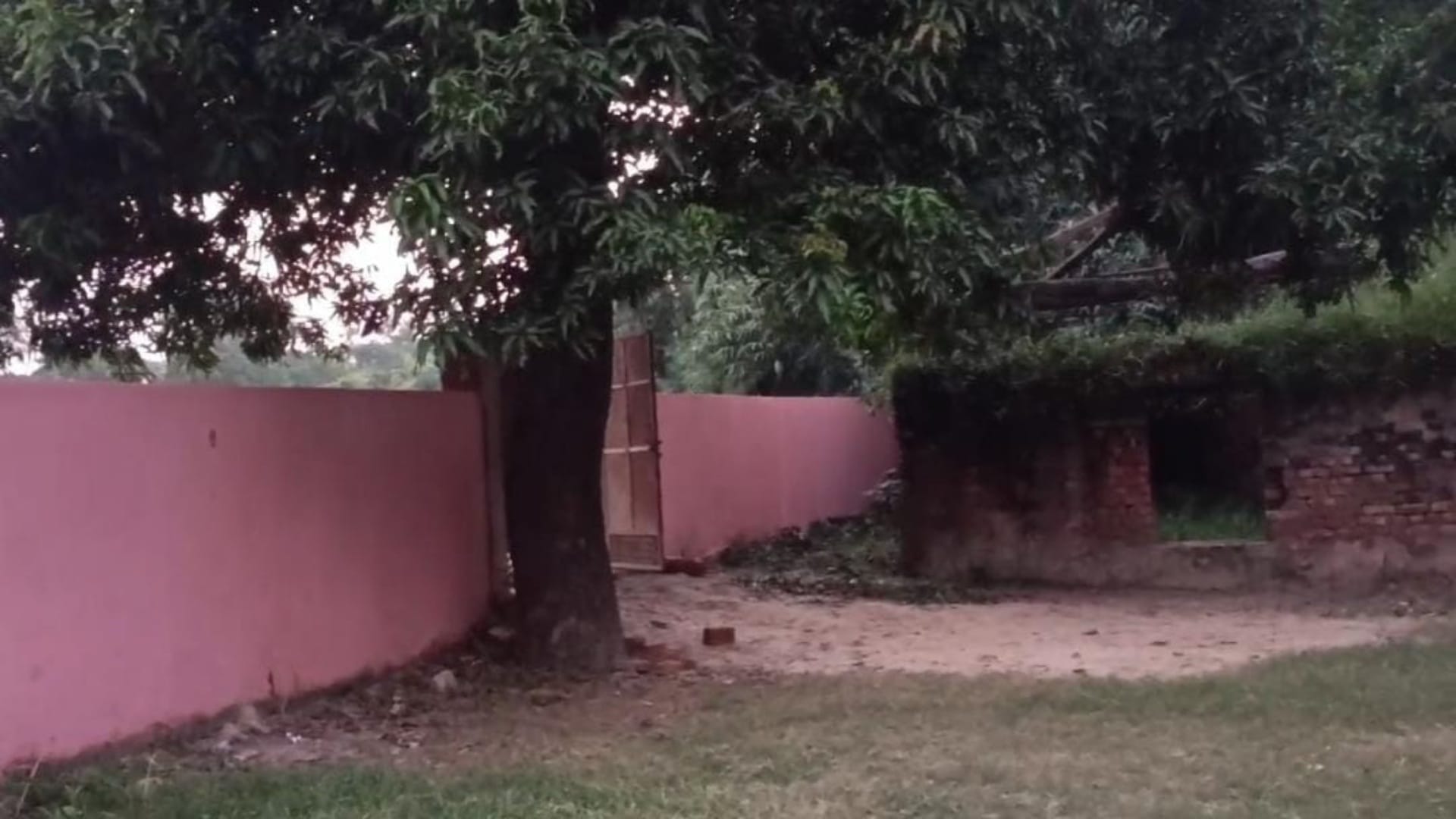 Bihar: Gandhiji's dream Buniyadi school turned into ruins; Children in Muzaffarpur forced to study under trees