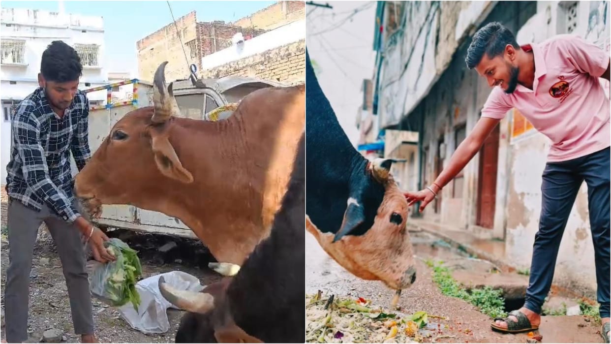 Bihar News: Two youths Vikas and Sugandh, committed to cow service, became topic of discussion in Muzaffarpur