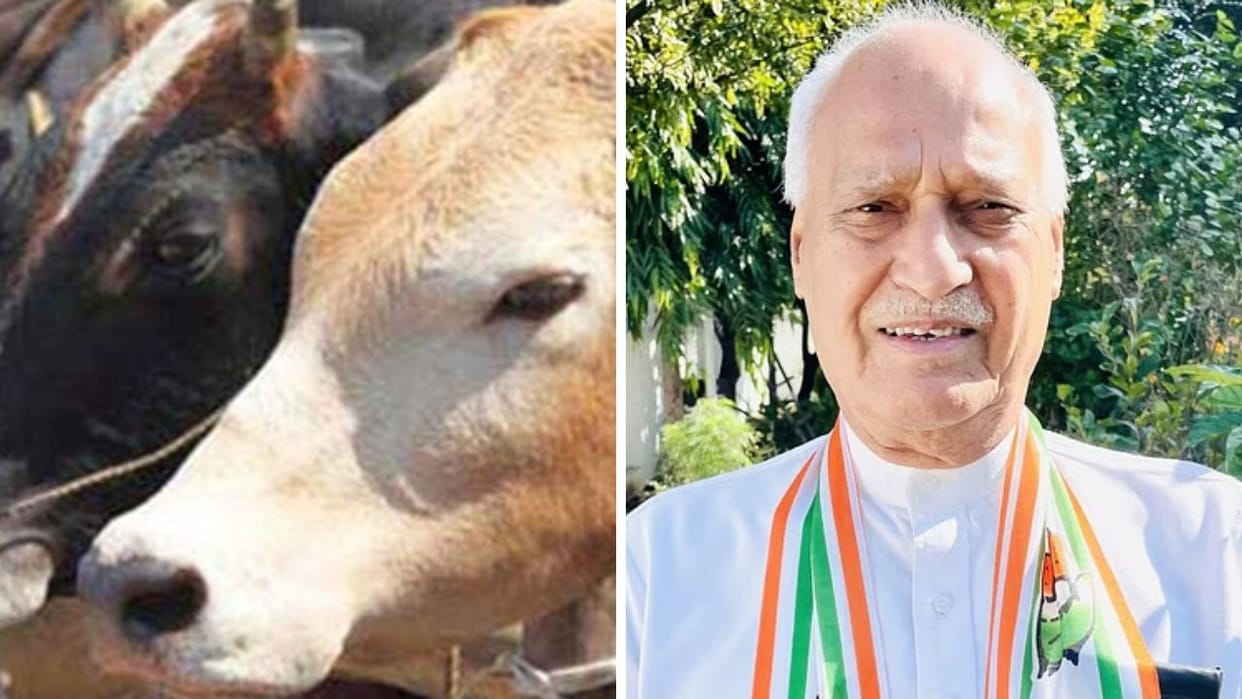 Himachal Pradesh Gauseva Samiti issues warning on Animal Husbandry Minister Chander Kumar statement