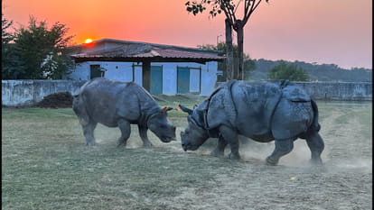 World Rhino Day- CM Yogi had released rhinoceros Har and Gauri in Gorakhpur Zoo.