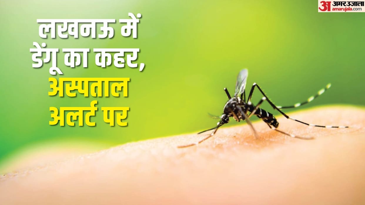 Lucknow: Dengue gained momentum, 21 patients found in 24 hours, hospital on alert, 100 beds reserved.