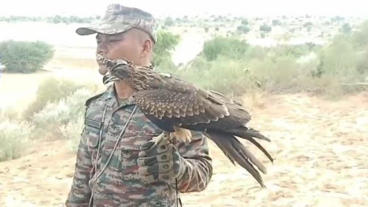 Bikaner News: Joint operation of Indian and US Army, trained eagle performed on the last day of the exercise