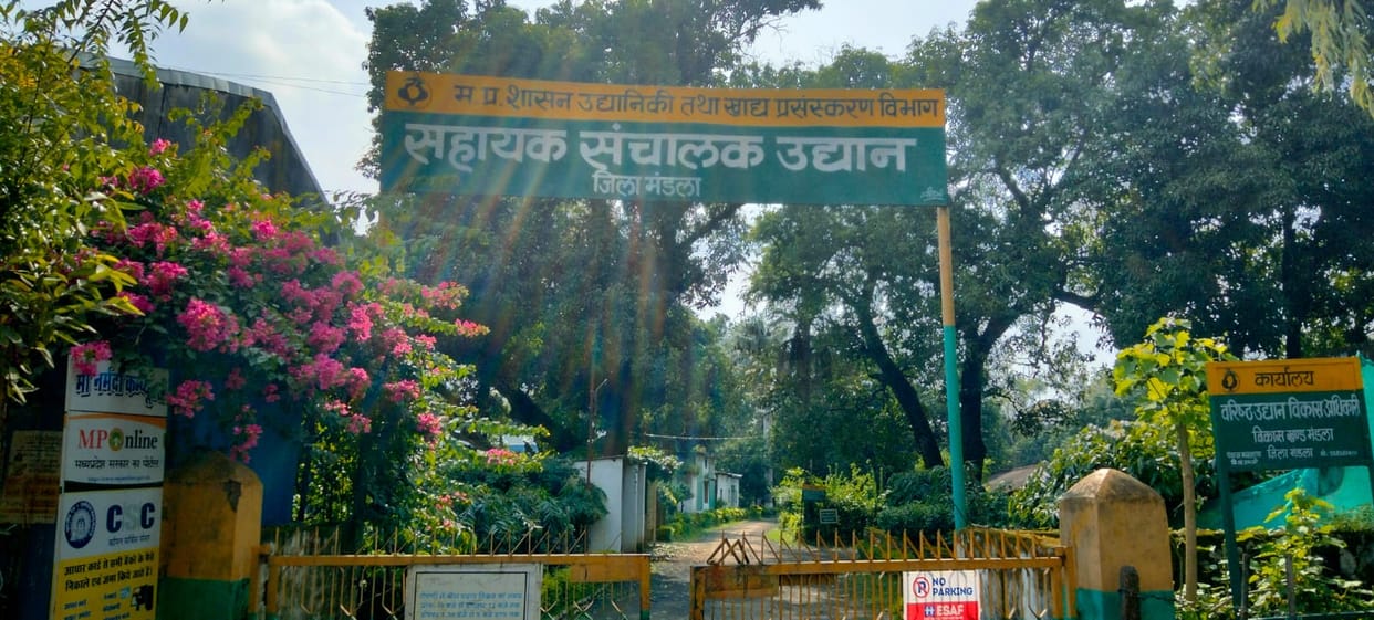 There was a stir due to the survey of horticulture for the construction of the new collectorate building