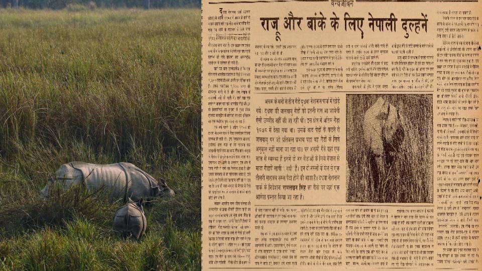 World Rhino Day: rhinos Raju, Banke and Savitri were sent to Dudhwa by Russian plane In 1984
