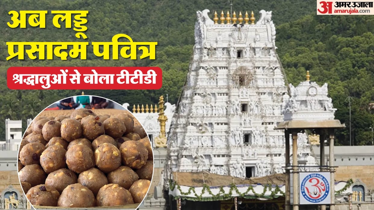 Tirupati Prasadam Row TTD Statement Laddu now pure devotees feedback