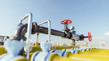 India Energy Security Boosted by Biogas and CBG Amid Global Crisis