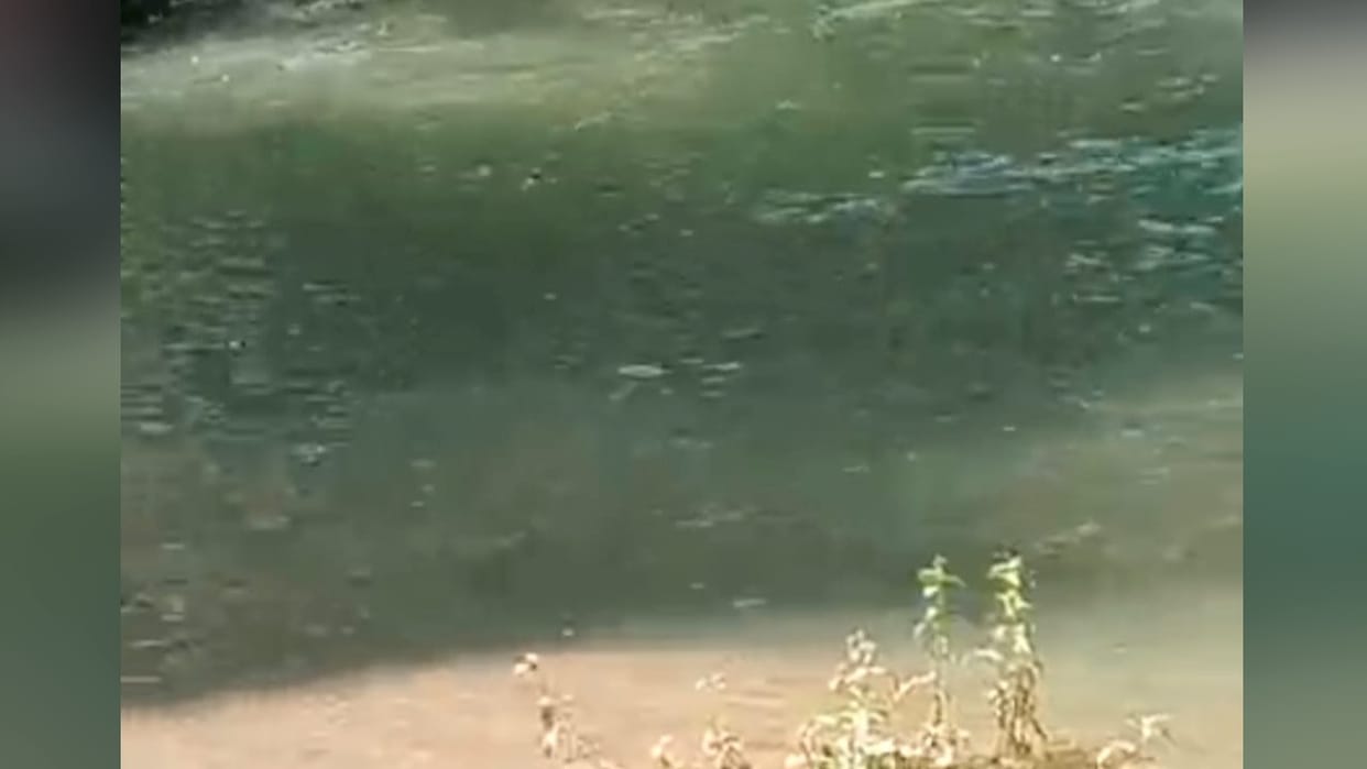 12th class student drowned in the river