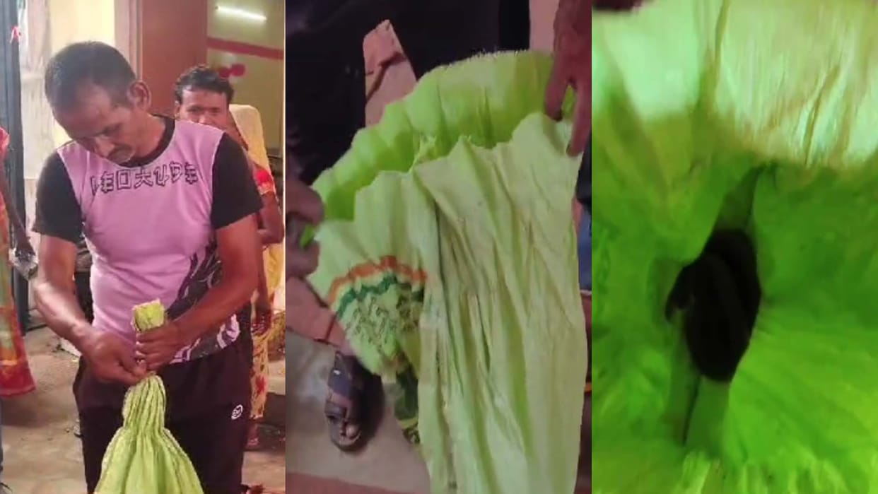 A man was bitten by a snake in jalaun