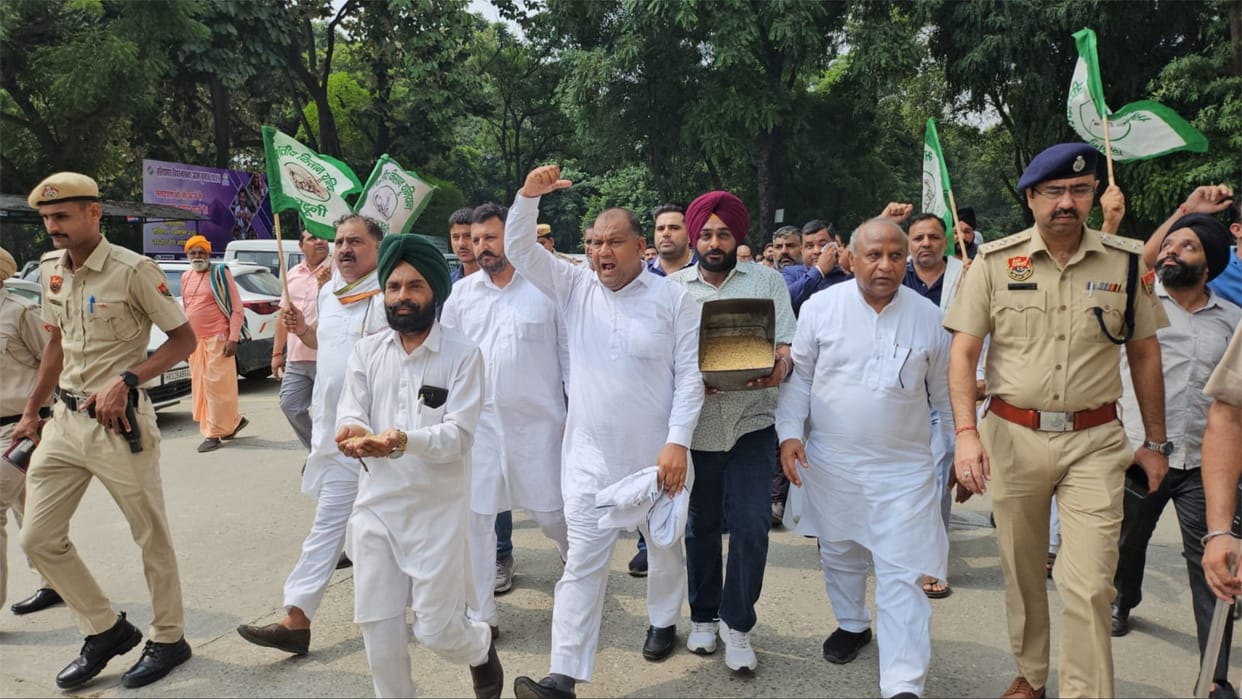 Haryana: Due to delay in procurement, farmers took to the streets carrying paddy, submitted memorandum to DC