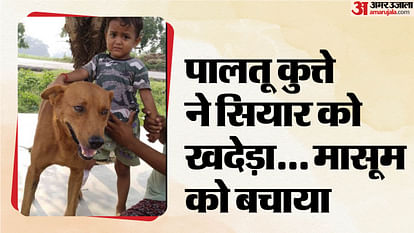 Pet dog chased away jackal and saved four year old girl in shahjahanpur