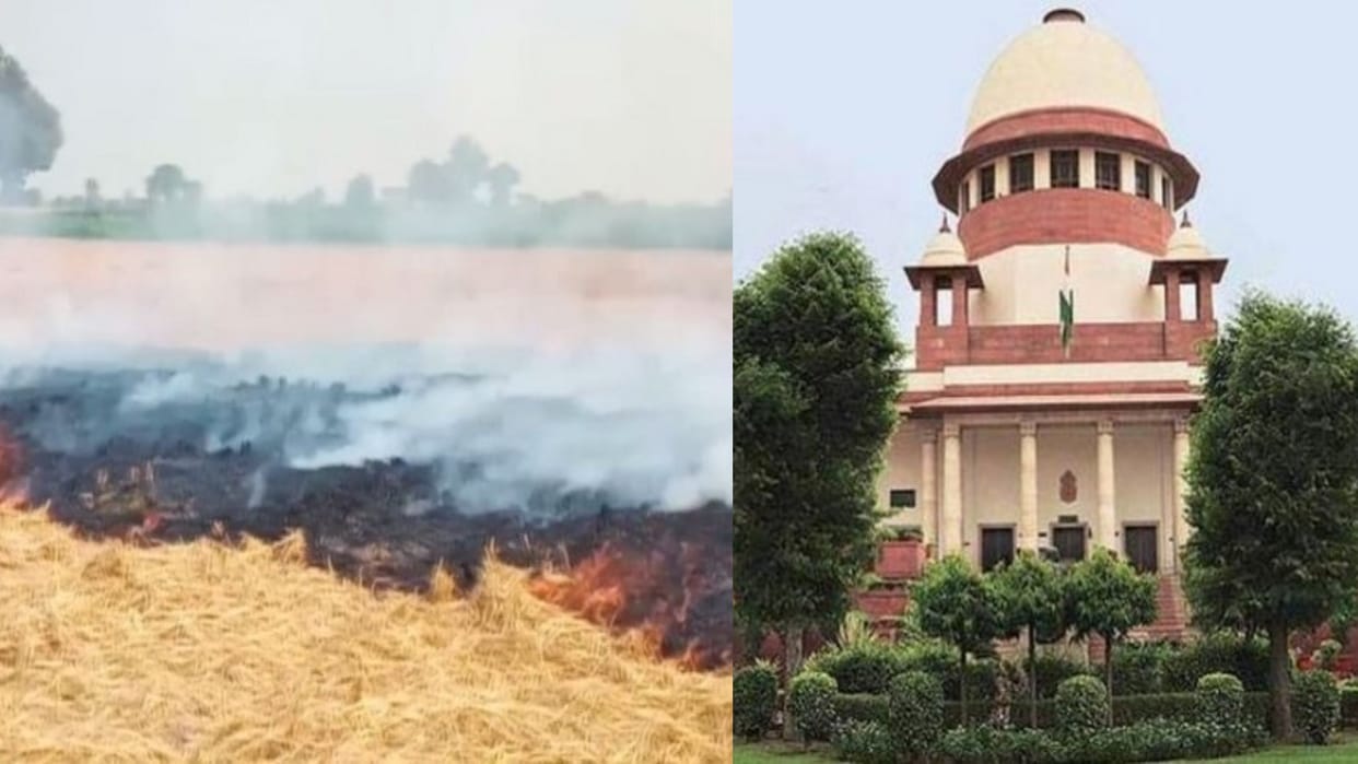 Stubble burning:  Supreme Court asks Punjab why few errant farmers shouldn't be arrested to send message