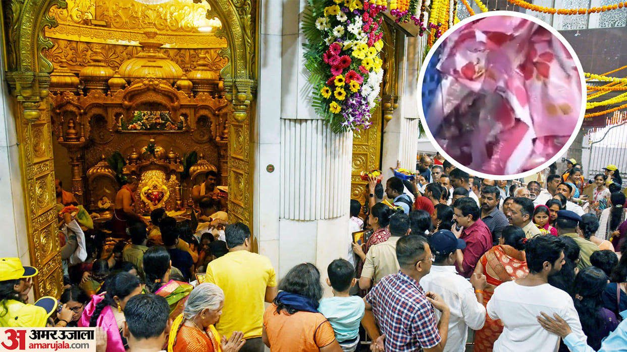 video of mice on the prasad packets of Siddhivinayak Temple probe launched