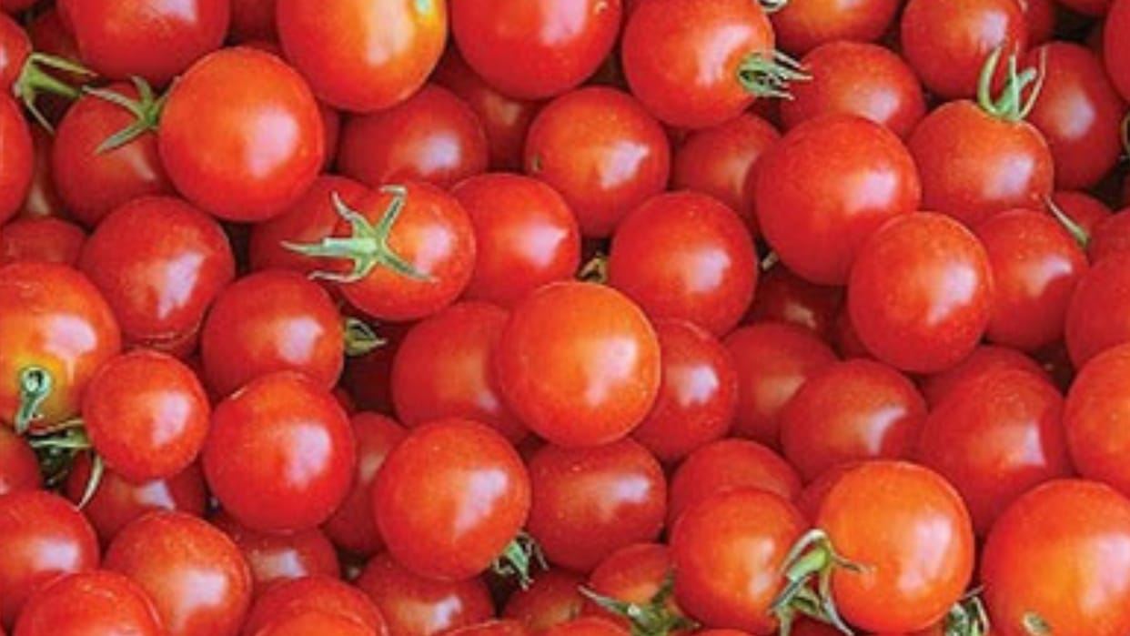 US imposes 17 percent import duty on fresh Mexican tomatoes